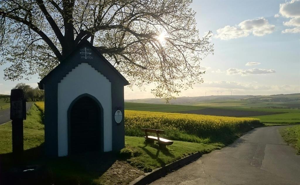 Apartment Maifeld *