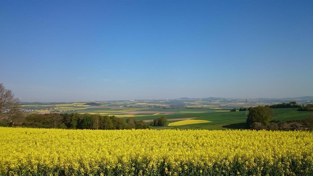 Apartment Maifeld *